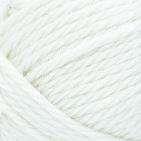 (1 Skein) Lion Brand Yarn 133-098 Hometown Bonus Bundle Yarn, Houston Cream...