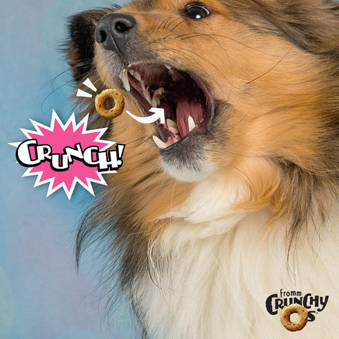 Fromm Crunchy Os Slammon' Smoked Salmon Dog Treats - Premium Crunchy Dog Treats - Salmon Recipe - 6 oz...