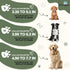 Olive Green Dog Collar and Leash Set for Medium Dogs,90% Rayon Derived from Bamboo, 10% Polyester Adjustable Dog Leash Collar Set, Medium Dog Coll...