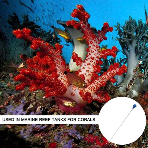 Coral Feeder SPS HPS Feeder, 2 PCS Long Acrylic Aquarium Coral Feeder Syringe Tube for Reef/Anemones/Eels/Lionfish and Other Organisms, Liquid Fer...