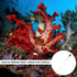 Coral Feeder SPS HPS Feeder, 2 PCS Long Acrylic Aquarium Coral Feeder Syringe Tube for Reef/Anemones/Eels/Lionfish and Other Organisms, Liquid Fer...