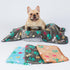 Luciphia 1 Pack 3 Blankets Fluffy Premium Fleece Pet Blanket Flannel Paw Printed Throw for Dog Cat(Small 23x16'', Grey/Brown/Blue)...