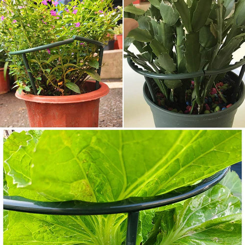 10 Pack Plant Support Plant Stakes, Metal Half Round Plant Support Ring Plastic Plant Cage Holder Flower Pot Climbing Trellis for Small Plant Flow...