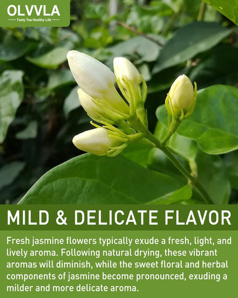 Olvvla - Dried Jasmine Flowers - 3oz/85g - 100% Natural Jasmine Tea Edible Flowers - Pure Jasmine Buds Loose Leaf Herbs - Non-GMO - Natural Fragra...