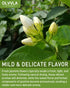 Olvvla - Dried Jasmine Flowers - 3oz/85g - 100% Natural Jasmine Tea Edible Flowers - Pure Jasmine Buds Loose Leaf Herbs - Non-GMO - Natural Fragra...