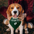 Baby Security in Training Green Dog Bandana Baby Announcement Dog Bandana Puppy Bandana Gender Reveal Photo Prop Accessories for Dog Lovers Owner ...