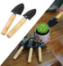 Bonsai Set 10 PCS-Mini Gardening Tools Kit for Indoor Outdoor Bonzai Include Pruner, Fold Scissors, Mini Rake, Tweezers, Cleaning Brush...