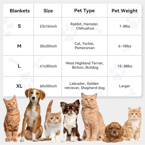 PJYuCien Blankets 1 Pack 3 - Fluffy Premium Fleece Flannel Throw Dog Blanket, Soft Warm Cute Print Cat Blanket, 23"x16" Pet Blankets for Small Dog...