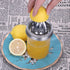 Mason Jar Stainless Steel Juicer Lid (2 Pieces), Citrus Reamer for Wide Mouth Mason Jar Lemon Juicer Manual Citrus Juicer....