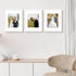 Golden State Art, 11x14 Picture Frame White - Solid Wood Picture Frame with Real Glass - Display Photos 8x10 with Mat or 11x14 Without Mat - Wall ...