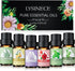 Essential Oils for Diffuser - Extra Pure 100% Diffuser Essential Oils Set with Aromatherapy Oils for Diffusers DIYs and More - Best Holiday Gifts ...