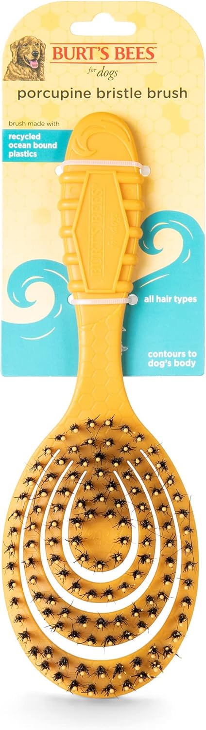 Burt’s Bees for Pets Porcupine Bristle Brush for Large Dogs with Handle Made from Recycled Plastics Collected from Coastal Communities | Large Fle...
