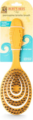 Burt’s Bees for Pets Porcupine Bristle Brush for Large Dogs with Handle Made from Recycled Plastics Collected from Coastal Communities | Large Fle...