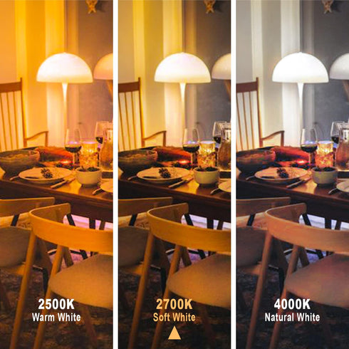 G80(G25) LED Edison Bulbs 60 Watt Equivalent, High Brightness Warm White 2700K Clear Glass Globe Light Bulb, Dimmable Antique LED Filament Bulbs, ...