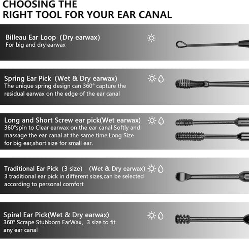 Hion 6 Pcs Ear Wax Removal Kit,Professional Double-Headed Ear Pick Earwax Removal Tools,316L Stainless Steel Ear Cleaner Curette with Cleaning Bru...