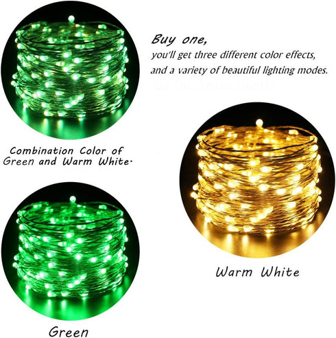 ER CHEN 2 Pack Dimmable USB String Lights, 33ft 100 LED Warm White & Green Color Changing Fairy Lights with Remote&Timer, 8 Modes Silver Coated Co...