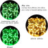 ER CHEN 2 Pack Dimmable USB String Lights, 33ft 100 LED Warm White & Green Color Changing Fairy Lights with Remote&Timer, 8 Modes Silver Coated Co...