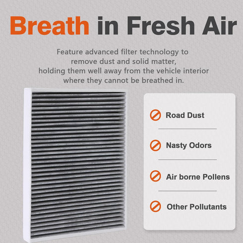 RUITO Cabin Air Filter, Fits 300 (2011-2023), Challenger (2011-2023), Charger (2011-2023), Replace RT668 CF11668, ?BE-668, 68071668AA......