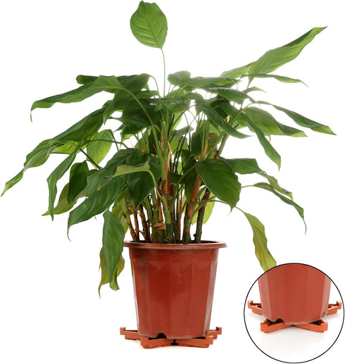 12Pcs Plant Pot Feet, Invisible Flower Pot Risers DIY Combination Triangle Toes Pot Lifters Supports Potted Plant Stand for Indoor Outdoor Gardeni...