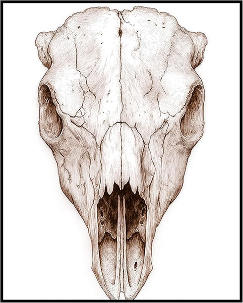 Posterizer 1 pcs-cow or bison skull art illustration 1-Gothic Art-Gift for Men Women Teens-Living Room Bedroom Decor- unframed wall art...