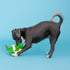 Fringe Studio Doyg Toy, Pool Side Rex, Latex, Pet Shop Collection (366011)...