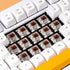 GATERON G Pro Brown Keyboard Switches Tactile 3Pin Pre-lubed for Gaming Mechanical Keyboard (Pro Brown, 70 Pcs)...
