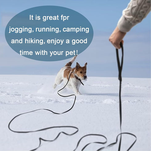 Waterproof Dog Leash Lead Durable Training Rope Outdoor Long Leash 10ft 20ft 30ft 40ft 50ft Great for Training,Beach,Yard,Play,Camping...
