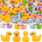 70 Pcs Tiny Ducks Mini Resin Ducks Miniature Ornaments for Slime, Dollhouse, Garden Decoration(Mixed Duck)...