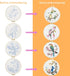 Embroidery Kit for Beginners 4 Sets, Hand DIY Cross Stitch Kits Include 4 Pack Floral and Hummingbird Patterns, 4 pcs Embroidery Hoops, Color Need...