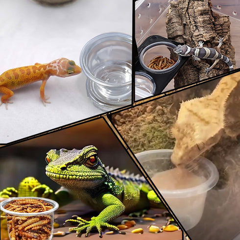 Small Reptile Food Plastic Replacement Cup Worm Water Dish Feeder Lizard Gecko Ceramic Pet Bowls with Tongs for Tortoise Lizard Bearded Dragon Fro...