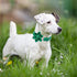 St.Patrick's Day Clover Dog Collars with Flower Tie,Green Abstract Clover Soft Cotton with Safety Metal Buckle Adjustable Puppy Collars for Small ...