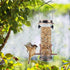 MIXXIDEA Wild Bird Feeders for Outdoors Hanging 2 Pack Stainless Steel Tube Bird Feeder Squirrel Proof, Finch Feeder for Garden Backyard Decoratio...