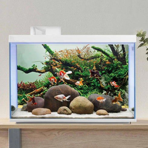 AWERT 24x16 inches Branches Fish Tank Background Green Algae Aquarium Background River Bed & Lake Fish Tank Background Vinyl Background...