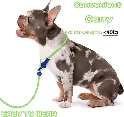 Slip Leads for Dogs Slip Lead Dog Leash Dog Leash for Small Medium Large Dogs 6Ft No Pull Dog Leash 8 Colors Classic Dog Leash Dog Rope (green)...