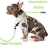 Slip Leads for Dogs Slip Lead Dog Leash Dog Leash for Small Medium Large Dogs 6Ft No Pull Dog Leash 8 Colors Classic Dog Leash Dog Rope (green)...