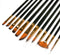 12 Pcs Artist Paint Brushes Set with Synthetic Sable Hair for Acrylic Oil Watercolor Fine Art Painting, Full Range of Sizes & Shapes Kit...