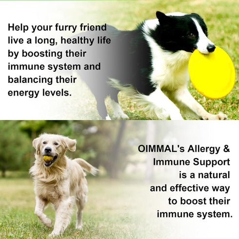 Dog Allergy Relief,Allergy Immunity for Dogs,Dog Allergy Support,Allergy Relief for Dogs Itching Natural Pet Supplement,Daily Vitamins for Healthy...