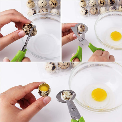 Calary 3Pcs Quail Egg Cutter Scissors Kitchen Egg Shears Tool (Green)...