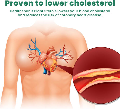 Ved Cholesterol Complex Probiotics and Prebiotics Complex - 10 Billion CFU - 20 Live Bacterial Cultures - 28 Probiotic Complex Capsules for Childr...