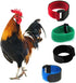 8 Pcs Black Anti Crowing Collar Adjustable Rooster Cockerels Anti-Hook No Noise Nylon Neck Strap Pet Products Pets Collar Anti Crow Rooster Collar...