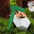 6.9 inch Bulb Planter Tool - Plastic Sow Dibbler with Handle - Garden Hand Dibber for Plant - Seed Planter Tool for Sowing Seeds,Planting Bulbs,Di...
