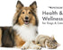 Petkin Fingertip Eye Wipes for Dogs and Cats, 50 Finger Wipes - Slip-On, Snug Fit, Micro-Bristle Fabric - Cleans Eye Area, Dirt and Tear Stains - ...
