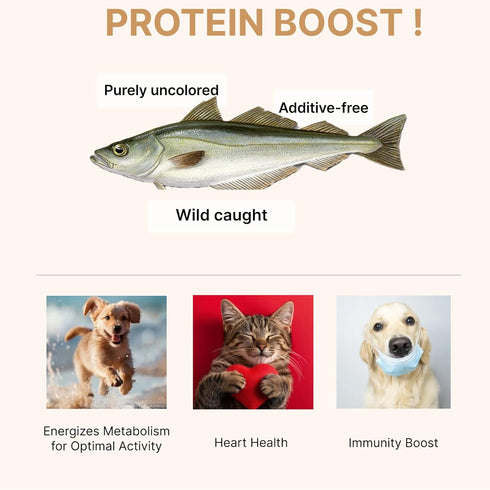 Low Salted Pollack Fish Snacks | Natural Air Dried Dog Treats & Cat Treats | Training Treats for Dogs | Rich with Fish Oil for Dogs | All Breeds &...