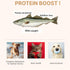 Low Salted Pollack Fish Snacks | Natural Air Dried Dog Treats & Cat Treats | Training Treats for Dogs | Rich with Fish Oil for Dogs | All Breeds &...