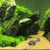 balacoo Fish Tank Helicopter Landscape: Aquarium Ships Fish Tank Helicopter Decorations Plane Aquarium Accessories Artificial Aquarium Decorations...
