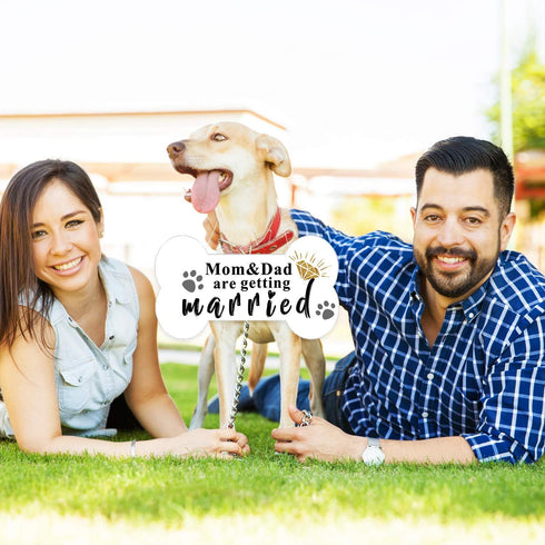 Blulu 10 Pieces She Said Yes Sign Engagement Photo Props Engagement Announcement Photo Prop Kit Signs Cardboard for Wedding Party...