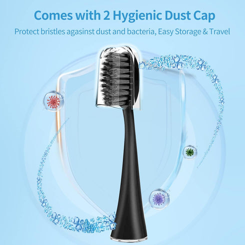Replacement Toothbrush Heads for Burst Sonic Toothbrush with Dust Cover Caps, Charcoal Soft Bristles, Black, Pack of 10...