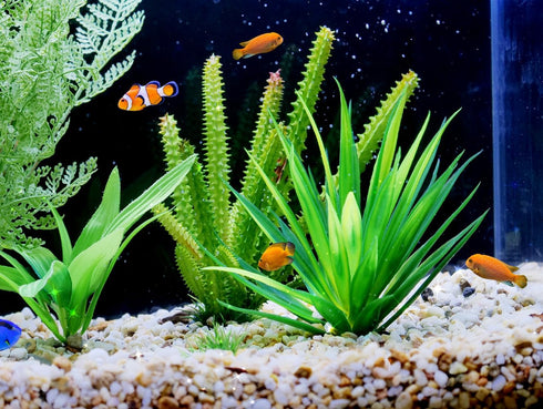 Emotionlite Aquarium Plants, Artificial Fish Tank Plastic Decorations Decor Plants Set Green 2 Packs...
