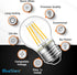 BlueStars G45 E26 Edison LED Filament Globe Bulb 120V 5W (60 Watt Equivalent), 2700K Warm White Light 550lm Non-Dimmable for Home Pendant Antique ...