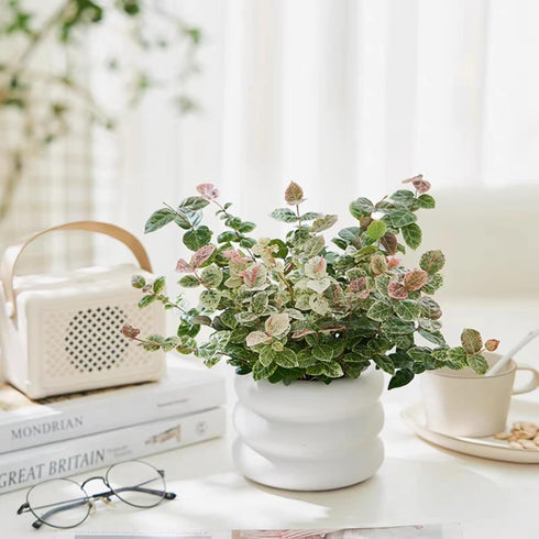 Ceramic Plant Pot Indoor, 4.5 Inch Flower Pot with Drainage Hole, Small Bubble Design Ceramic Planter for Home & Office Decor (White)...
